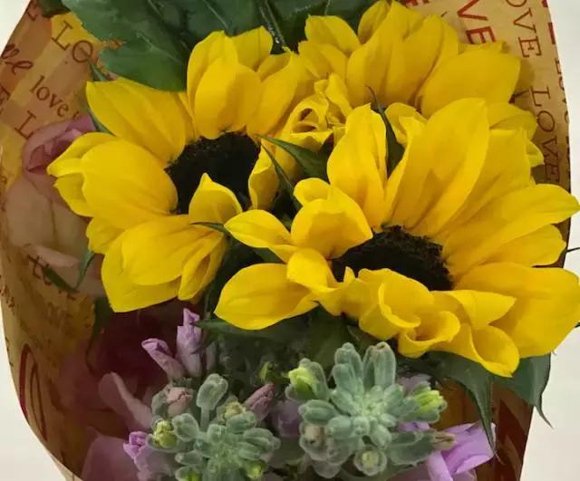 成都鲜花包月99每月4次,花费上万测评1个月