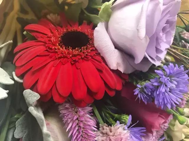 成都鲜花包月99每月4次,花费上万测评1个月