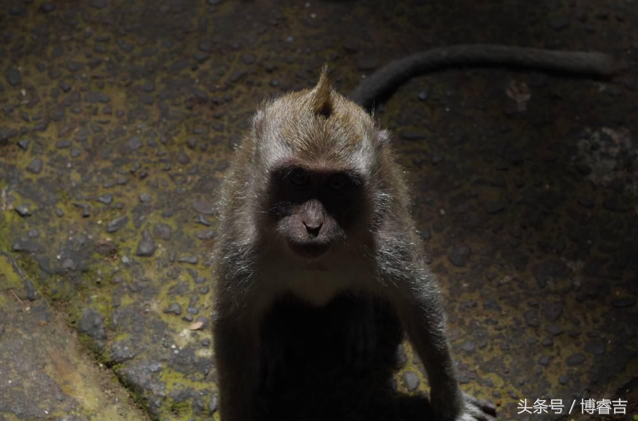 体验过你从未体验过的情感,体验你没体验过的人生