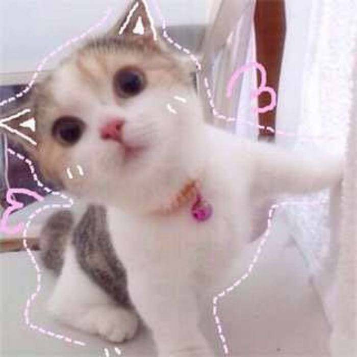 又便宜又好用的外国护肤品牌子,欧美系列护肤品牌有哪些