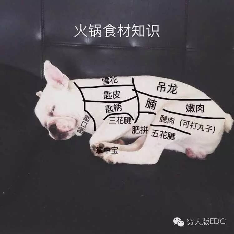 关于讲述国潮的视频,关于国潮的知识