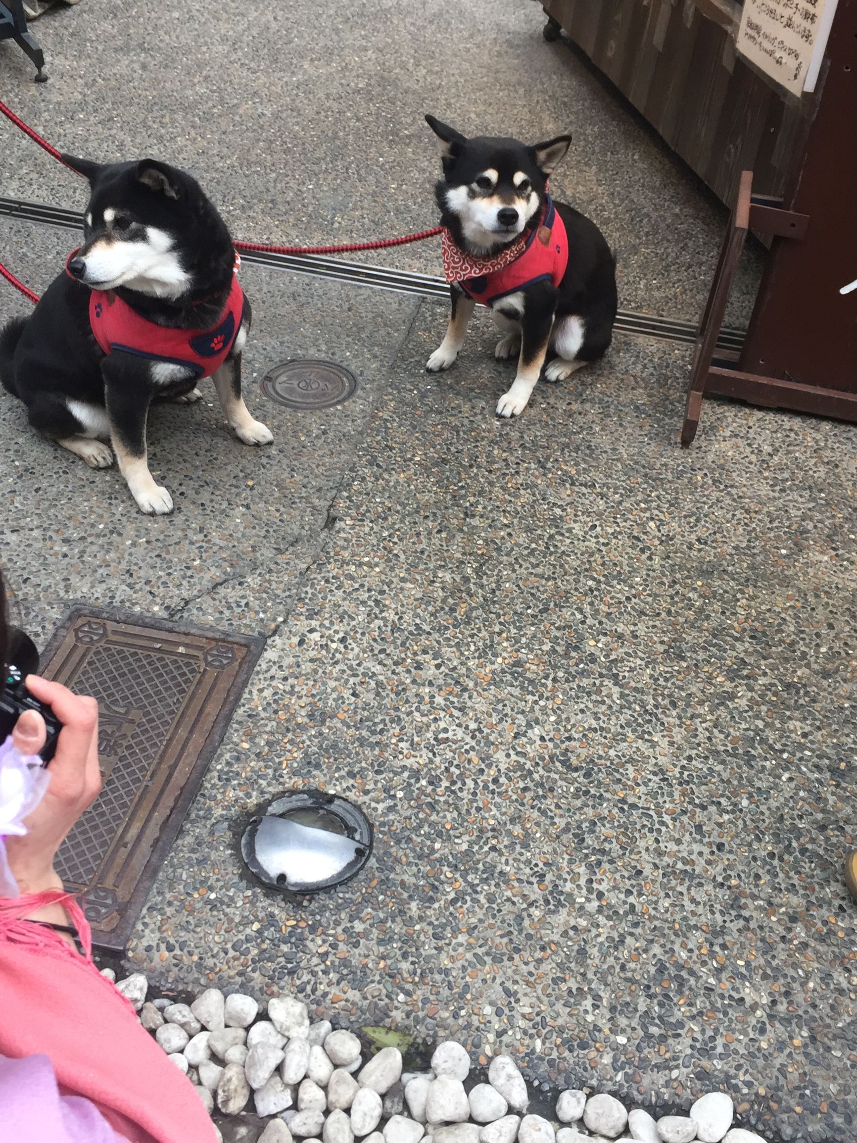 茶之道在于心静,茶是心静的良药