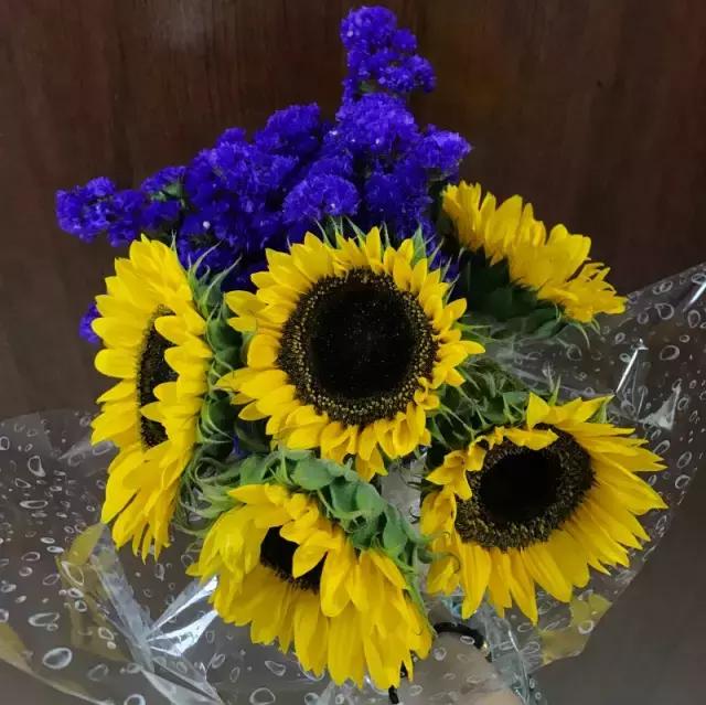 成都鲜花包月99每月4次,花费上万测评1个月