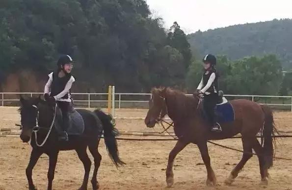 昆明二龙湖御龙马术俱乐部,贵阳市马术俱乐部
