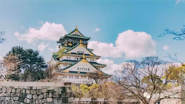 拉面 · 自动贩售机 · 雪｜云之彼岸的日本欢脱之旅