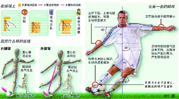 魔力鸟穆里尼奥狂奔,魔力鸟在曼联拿了哪三个冠军