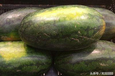 山东最香的瓜,口感软糯又甜的瓜