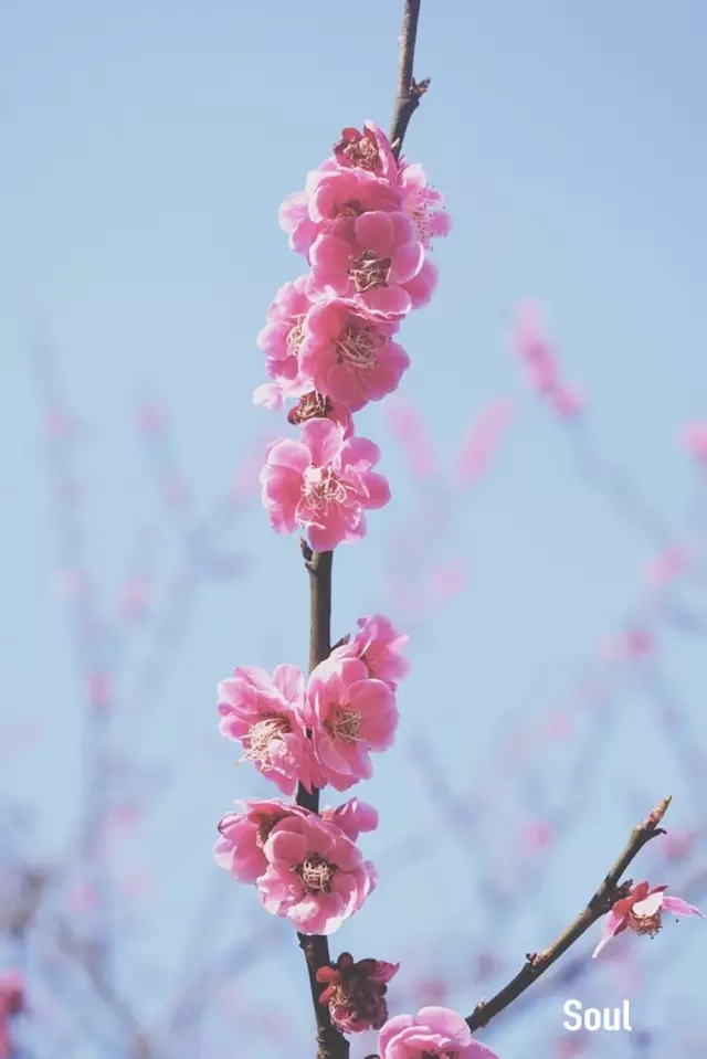 <html>
<head><title>502BadGateway</title></head>
<body>
<center><h1>502BadGateway</h1></center>
<hr><center>nginx</center>
</body>
</html>
<!--apaddingtodisableMSIEandChromefriendlyerrorpage-->
<!--apaddingtodisableMSIEandChromefriendlyerrorpage-->
<!--apaddingtodisableMSIEandChromefriendlyerrorpage-->
<!--apaddingtodisableMSIEandChromefriendlyerrorpage-->
<!--apaddingtodisableMSIEandChromefriendlyerrorpage-->
<!--apaddingtodisableMSIEandChromefriendlyerrorpage-->
