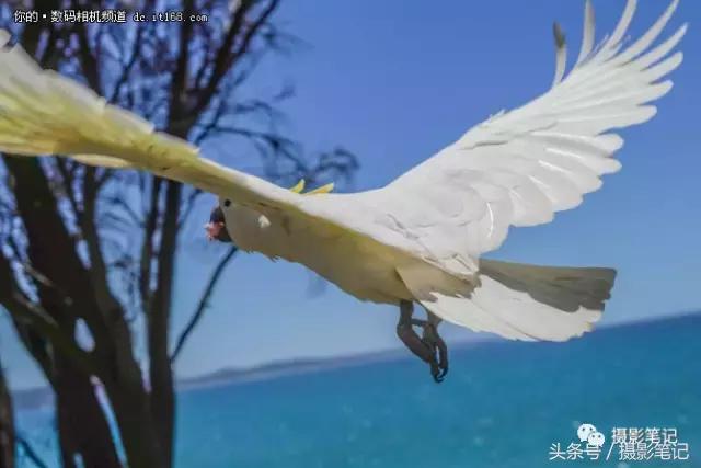 索尼a9拍摄剧照,我与索尼相机近20年的情缘