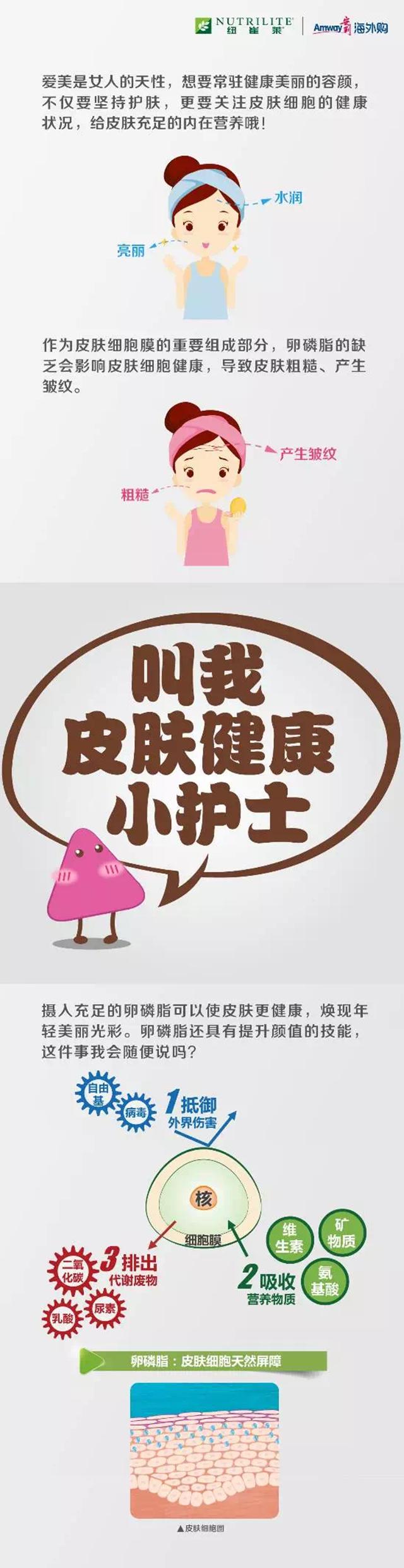 安利纽崔莱卵磷脂适合什么人吃,安利纽崔莱官网商城卵磷脂粉