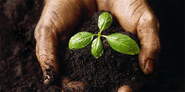 人民大会堂国宴美食,慈禧太后的国宴