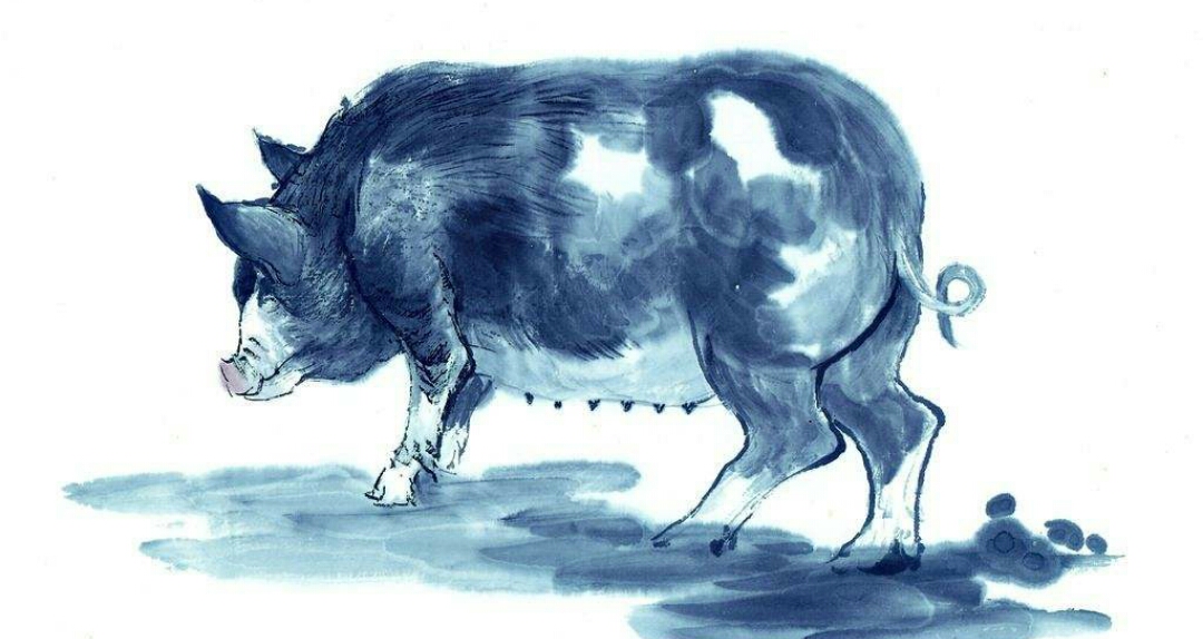 最全十二属相,十二属相都是什么属相