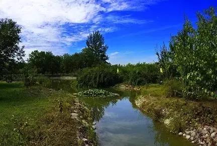 定个小目标100天,定个小目标完整版