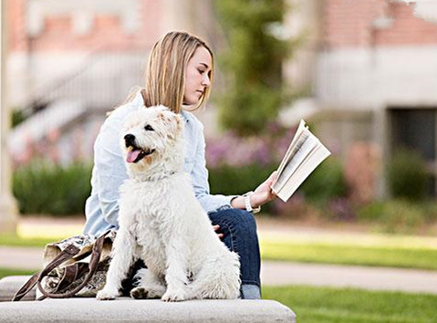 19岁女大学生失眠30晚藏入地窖自杀，被发现后接受电疗获新生