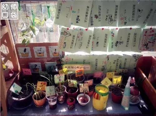 自然生态特色幼儿园,国际幼儿园自然角