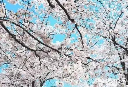 韩国滨海新区,韩国和滨海新区