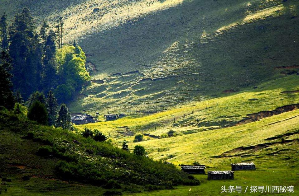 鏈ㄩ噷鐜嬪浗鏃呮父鏀荤暐,涓婂笣娓歌杩囩殑鑺卞洯