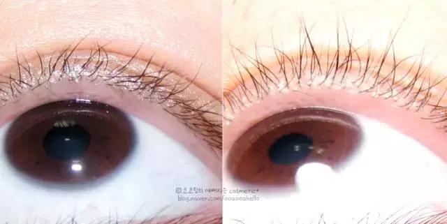 人人都爱的美食可乐饼,人人都爱的食物