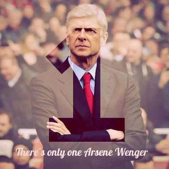 阿尔塞纳温格怎么样,阿尔塞纳温格优缺点