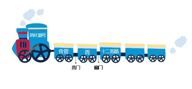 吃药就好停药就烧心反酸,吃药就好停药就拉肚子