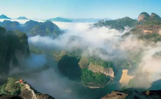 被央视通报过的奶粉品牌,被央视点名的网红奶茶