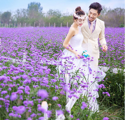 丽江9万朵各色花海婚纱照,森系花海小清新婚纱照
