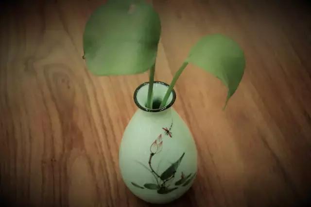 禅茶一味故事,太湖县禅茶