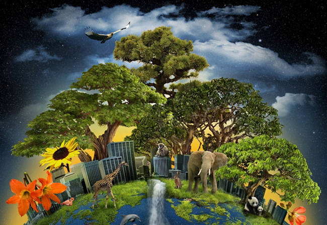 进化论为什么有些没有进化,进化论最可怕的真相是什么