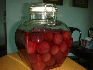 杨梅果酒酿酒技术教程大全,杨梅果酒用什么酒做法好喝