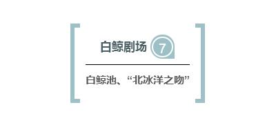 杭州极地海洋游玩图,杭州极地海洋世界旅游攻略