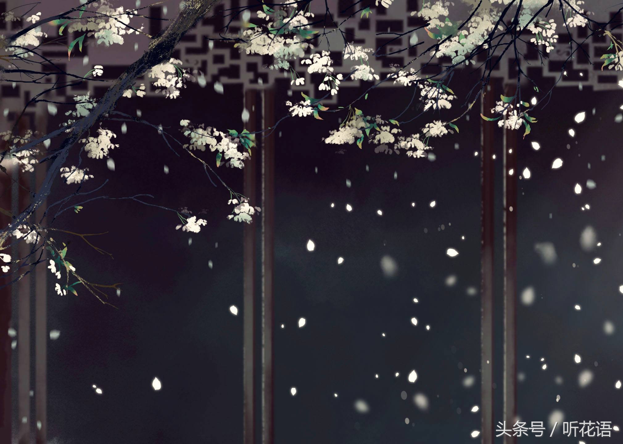 春天除了赏花还有什么景点,油菜花樱花去哪看