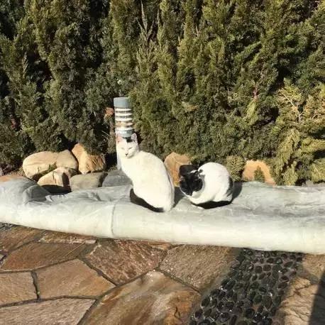 一起泡个温泉,温泉泡池冬天来一场暖暖温泉旅行