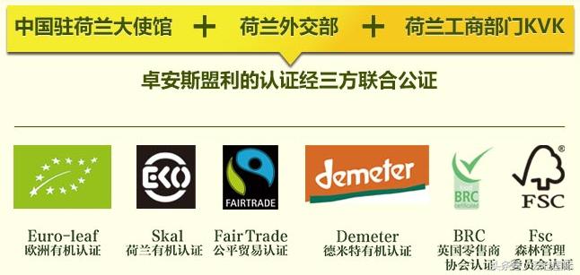 原创|全球奶粉品牌大起底,一秒教你辨真假(进口奶粉专题一)