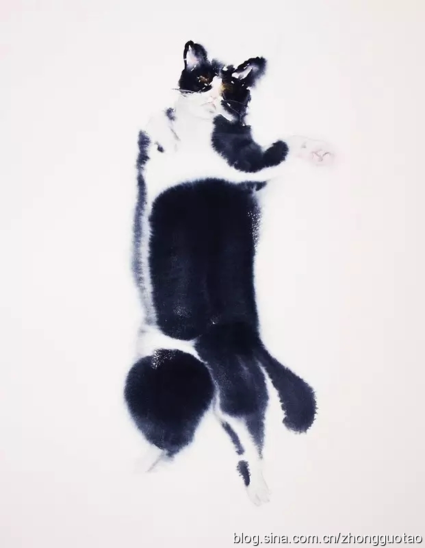 日本水墨画猫,国画猫水墨画