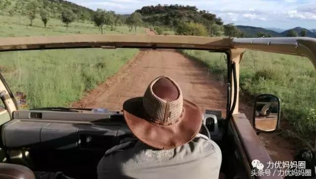 麻麻，为什么不能带我去非洲！