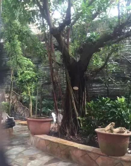 一起泡温泉的奢侈的享受,夏日一起泡温泉