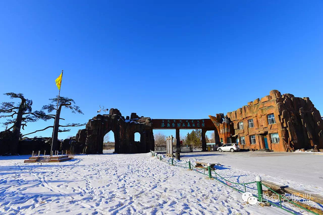 呼伦贝尔旅游攻略注意事项 (呼伦贝尔旅游攻略包车)