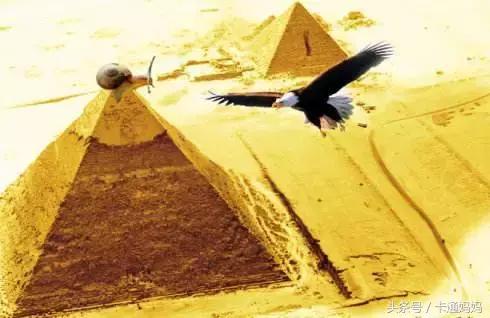 昆虫的微观小世界,微观世界每只昆虫都有它的故事