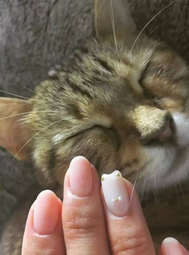 现在最流行美甲款式,2020美甲流行款式视频