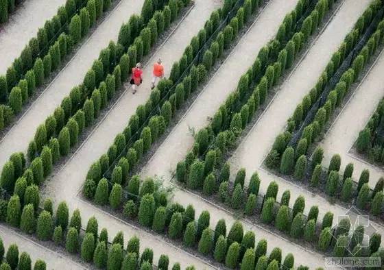 宁波好玩的迷宫,动心吗