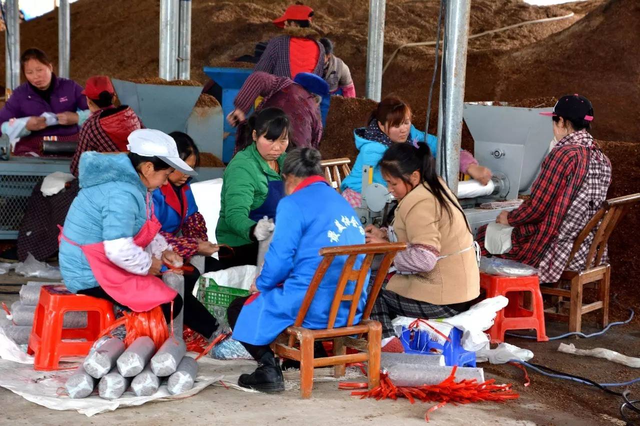 松桃县农村致富,松桃就业