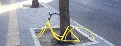 300辆共享电单车亮相,共享单车共投放3000辆