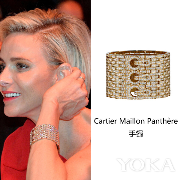 王室风云法国,王室风云摩纳哥