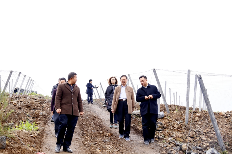 校园大事记,学校活动大事记