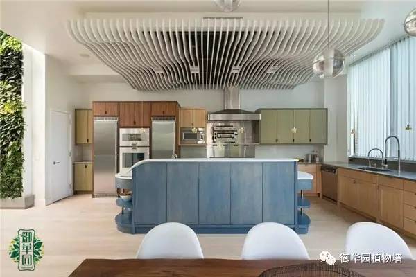 禅意风植物墙,特色植物墙