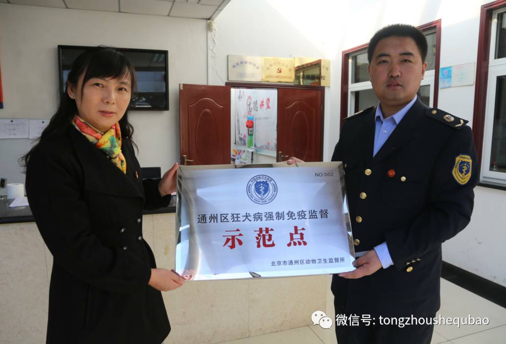 打算养狗需要准备什么,南京正规给狗打疫苗的地方