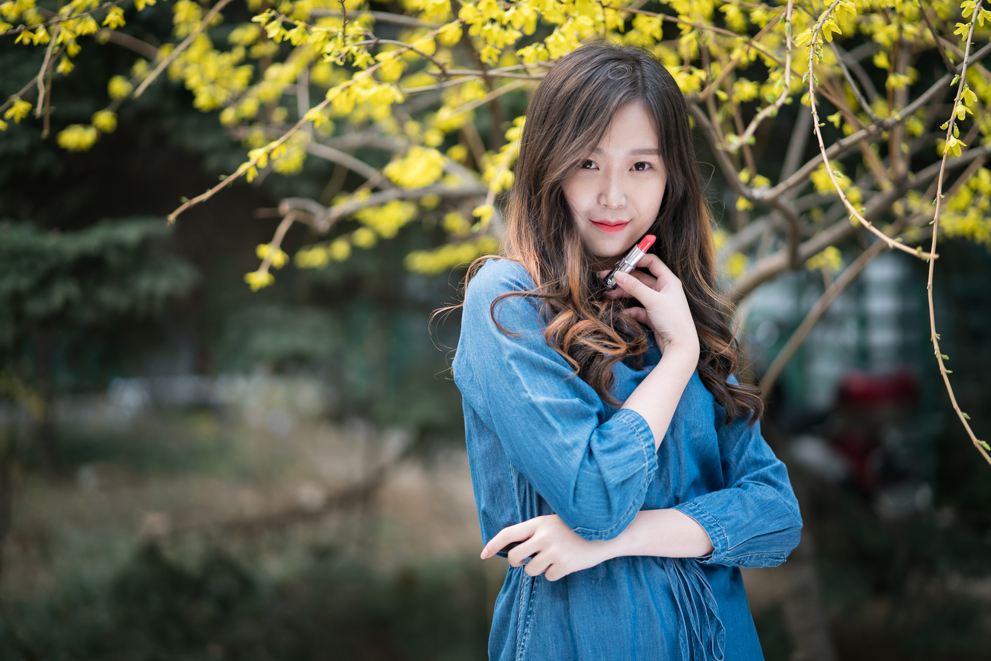 索尼fe85mmf18镜头正式开启预售,索尼fe85mmf1.8风景