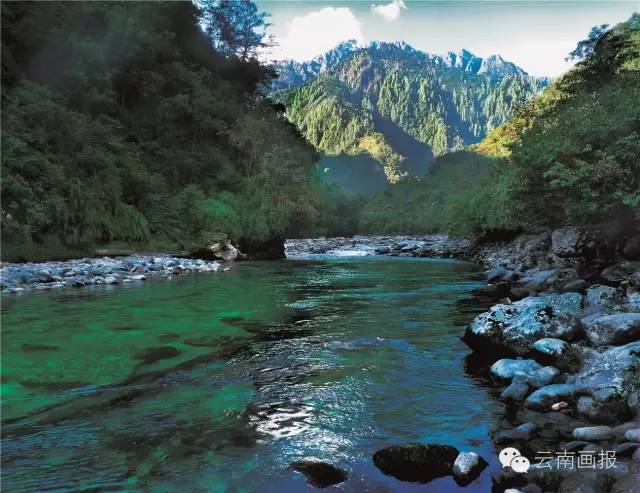 云南省什么地方风景区最好,云南生态环境最好的地方