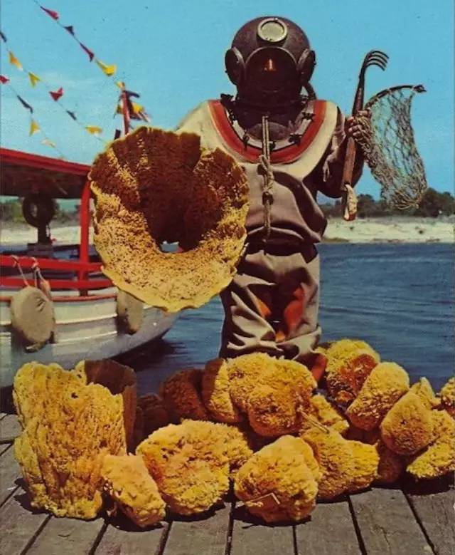 8.7免费皮肤福利,8月份福利皮肤