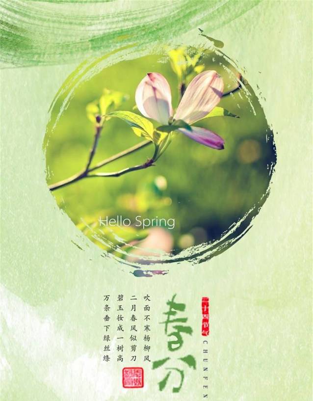 春分到蛋儿俏儿歌完整版跟唱,春分到蛋儿俏竖起鸡蛋多奇妙